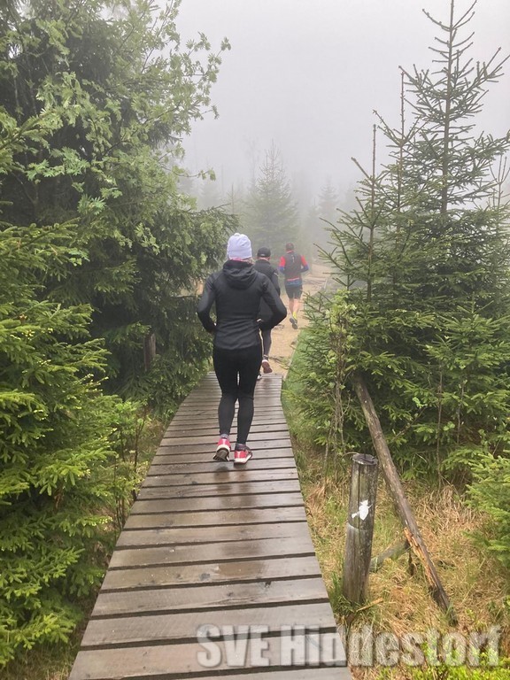 Morgens um den Oderteich